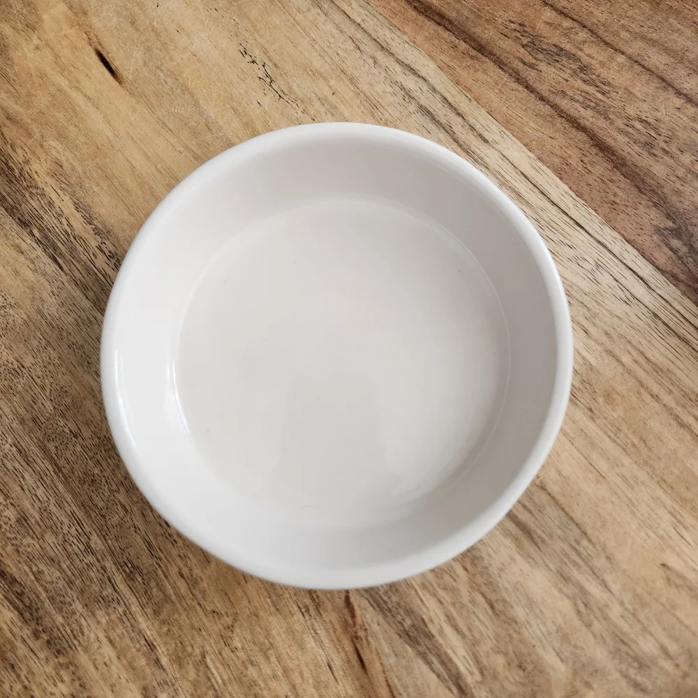 Rae Dunn Purrfect Cat Water or Food Ceramic Bowl